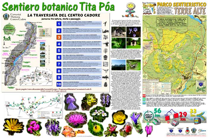 pannello informativo a Lozzo di Cadore, località Pianizole: il sentiero botanico Tita Poa