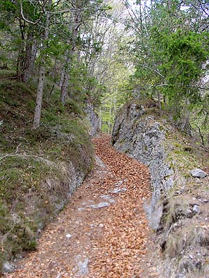 La strada di Quoilo (Strada della Montagna) nei pressi della Ciòpa del Laris