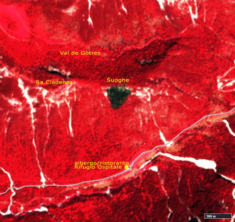 EO Browser 23-07-2019 False color; area incendio del 30 giugno 2019 sui Śuoghe - Ospitale - Cortina d'Ampezzo