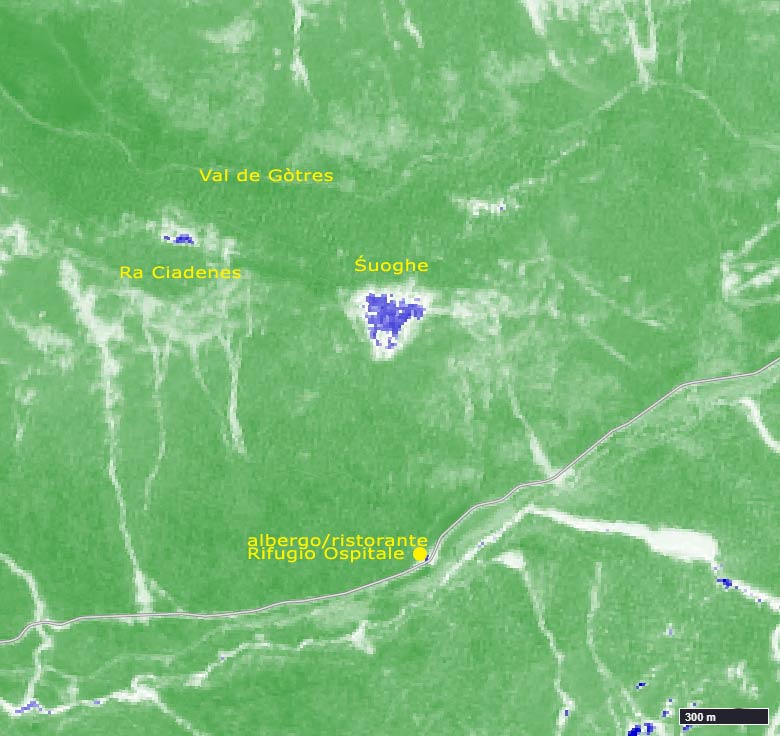 EO Browser 23-07-2019 NDWI; area incendio del 30 giugno 2019 sui Śuoghe - Ospitale - Cortina d'Ampezzo