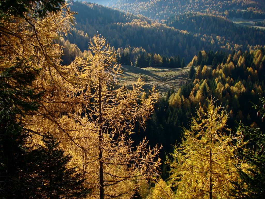 Autunno: verso il Col de le Foie