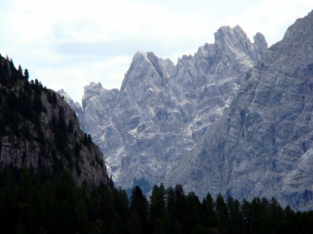 Versante nord del M. Ciarìdo da Maraia Alta, sulla strada tra rif. Col de Varda e rif. Città di Carpi