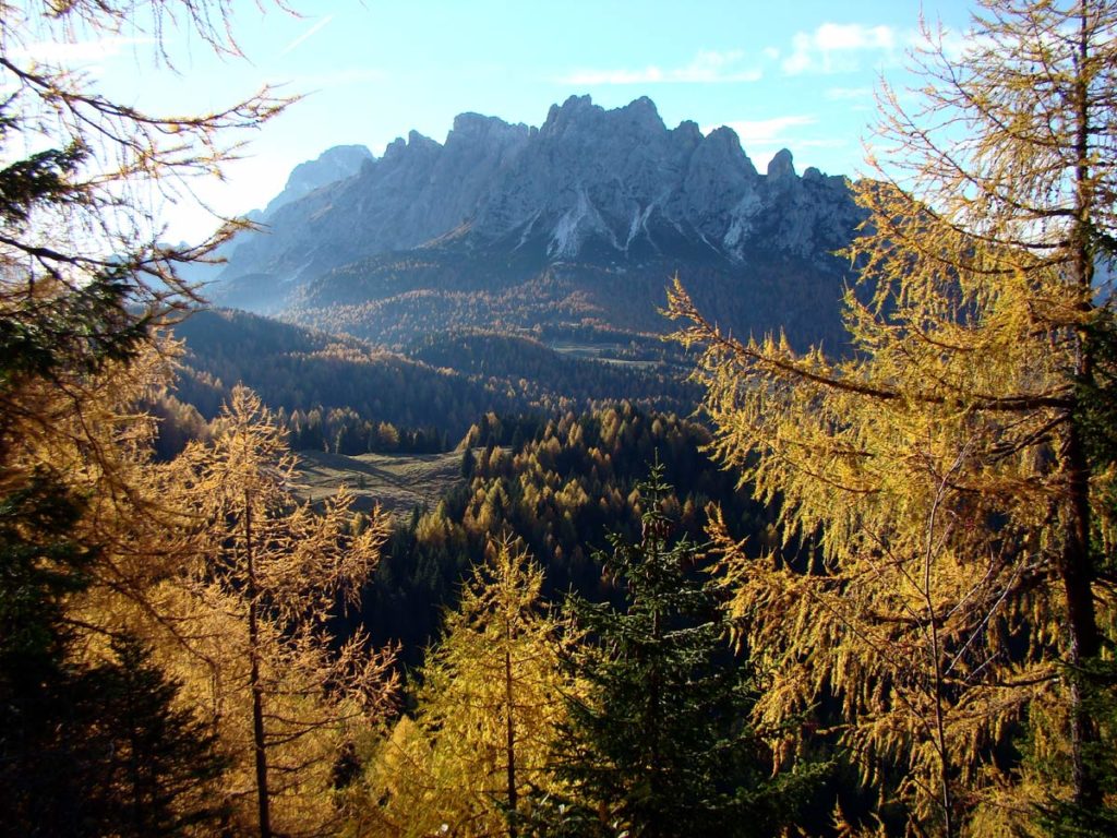 Scorcio autunnale verso il M. Ciarìdo dal Col dei Laris (Col Vidal)