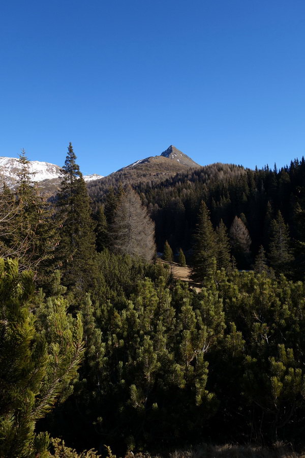 Col Quaternà dal sentiero che collega Malga Nemes a Malga Coltrondo