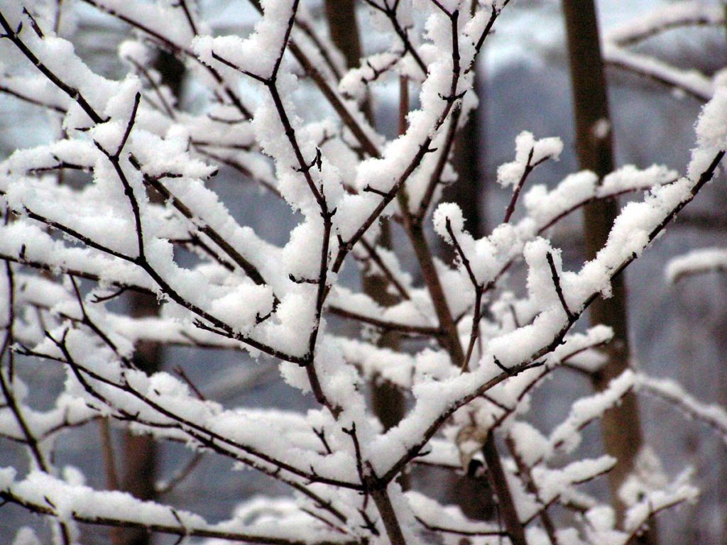 Geometrie invernali