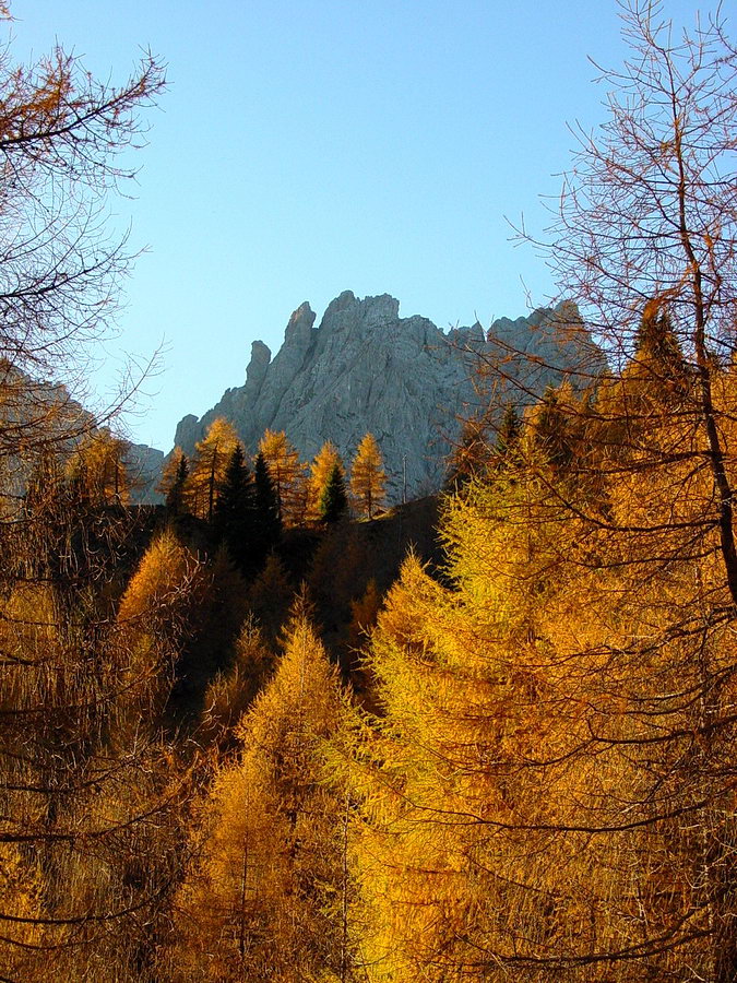 Autunno a Cianpo de Cros; sullo sfondo il Ciarìdo