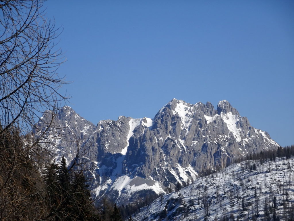 Cresta di Enghe e Creta di Mimoias dalla strada silvopastorale per casera Doana