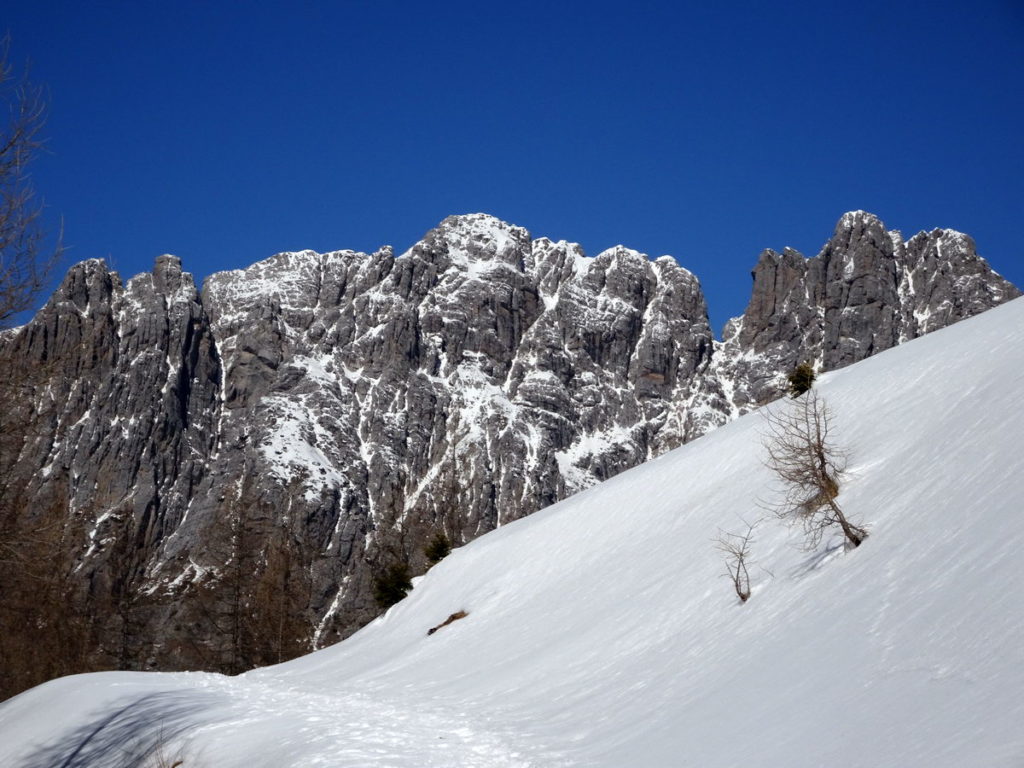 Pupera Valgrande dai pressi di Casera Doana; Cima Ovest centrale, Cima Est, il Pupera propriamente detto, a destra