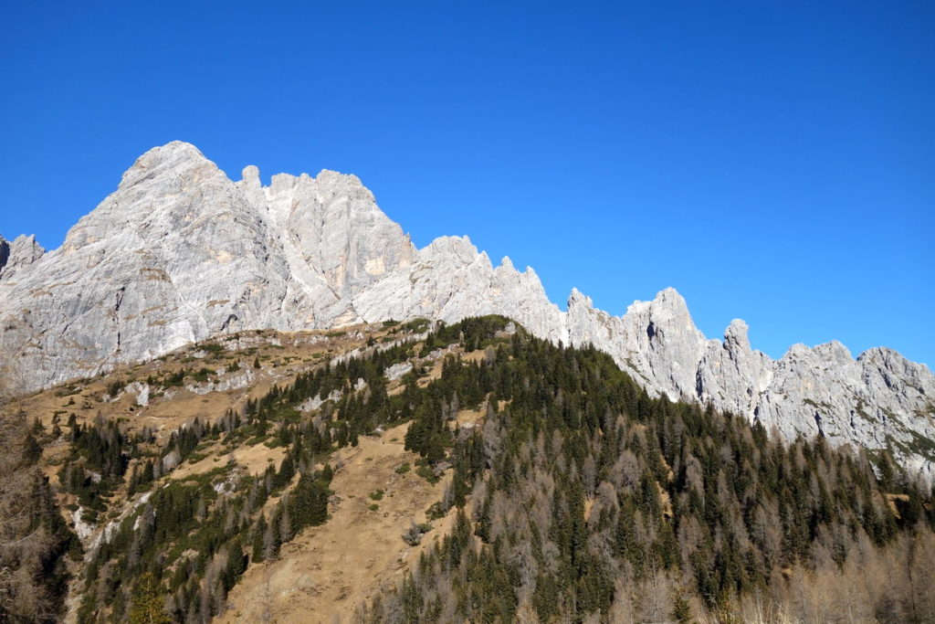 M. Brentoni con la Cresta dei Torrioni di Val Inferno e Col Sarenede dai piedi del M. Losco