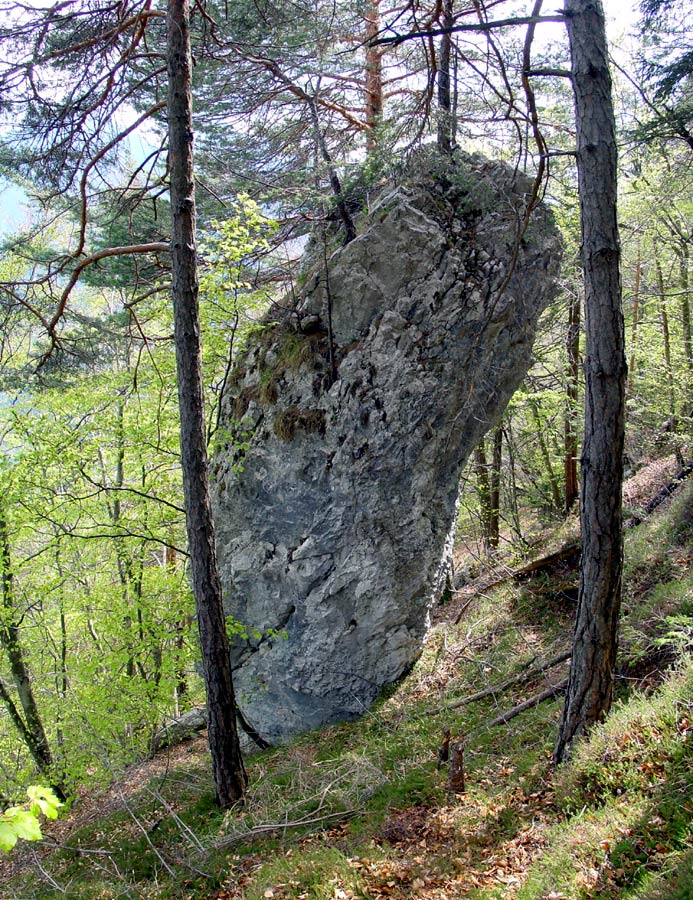 Uno dei Cianpanì lungo la Costa de i Cianpanì a Lozzo di Cadore