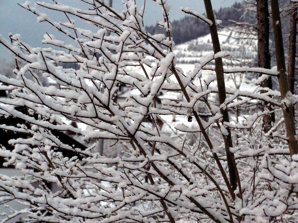 Geometrie invernali...