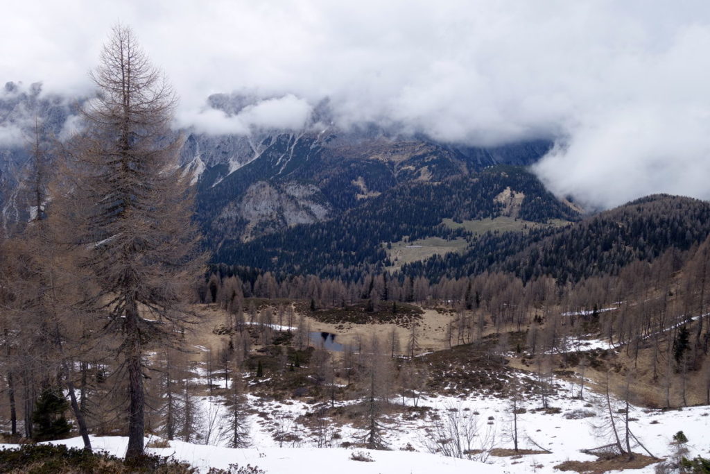 Pian del Laguscel con Col Rementera, M. Losco, Col Sarenede e Crepo Val da Rin