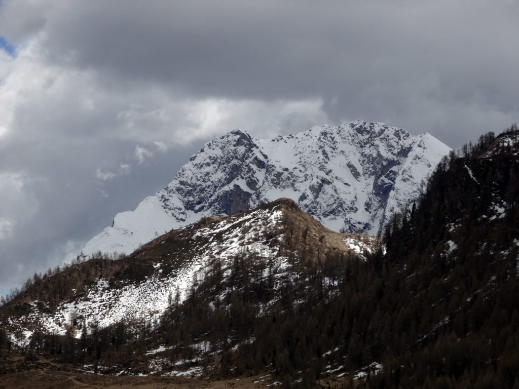 M. Bivera dai pressi della casera Sottopiova