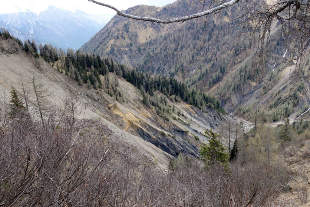 Il fianco franoso del Col Cervera verso il rio Ampiadè dal Col del Zei 