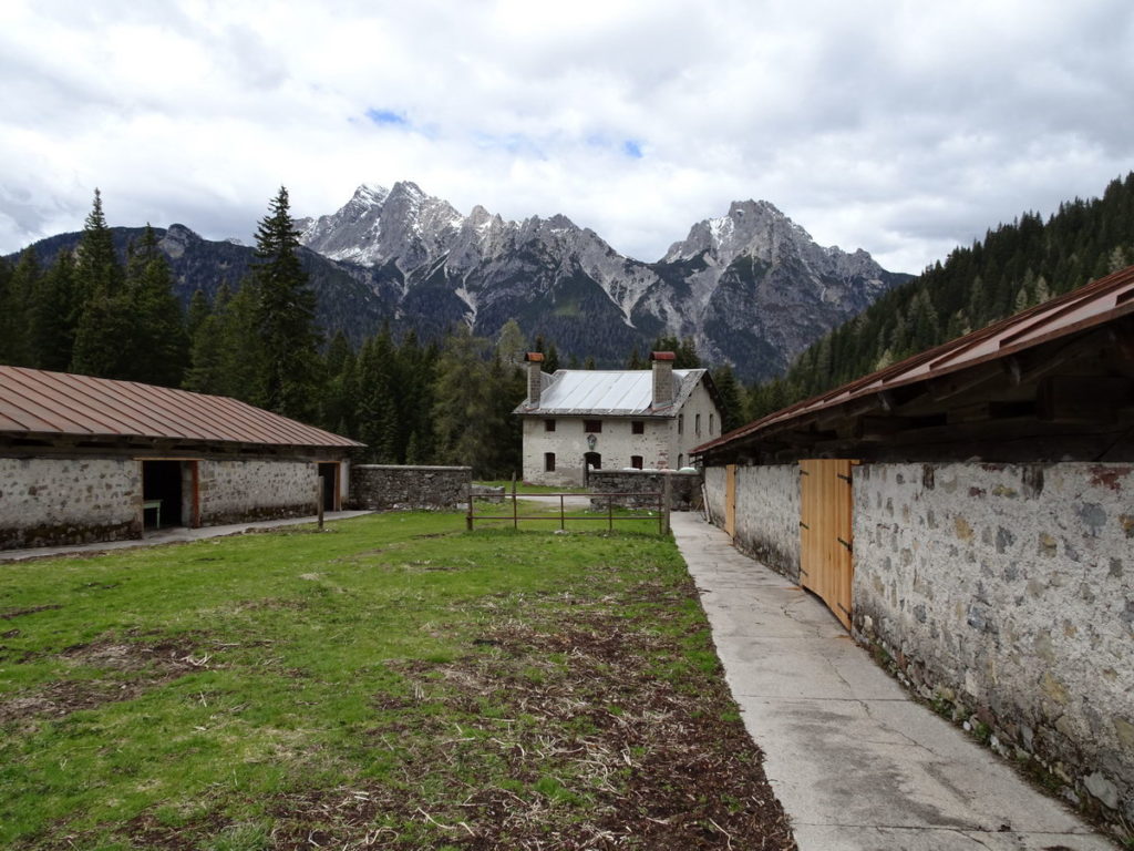 Casera Campo con gli stalloni; sullo sfondo M. Losco, M. Brentoni, Torrioni di Val Inferno, Forcella Valgrande e M. Cornon