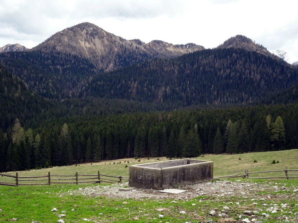 Col Cervera, Col di Rioda e Monderoi da Pian de Sire