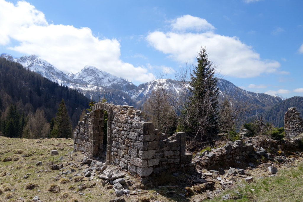 Ruderi di un magazzino militare della Grande Guerra nei pressi di forcella Losco; sullo sfondo il Tudaio di Razzo e il M. Piova