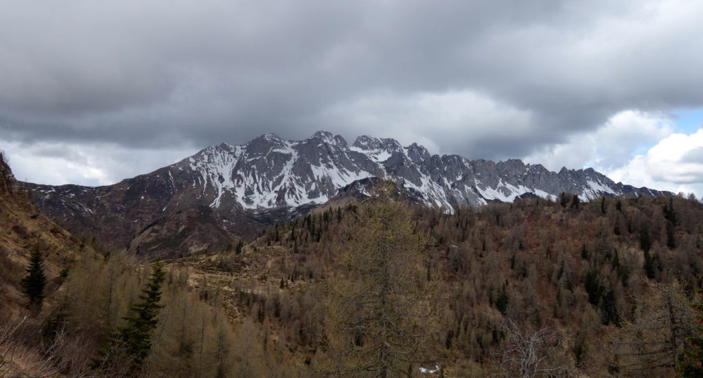 Il dosso di Monderoi in primo piano sullo sfondo del gruppo del Tiarfin; in linea con il larice il Col Marende