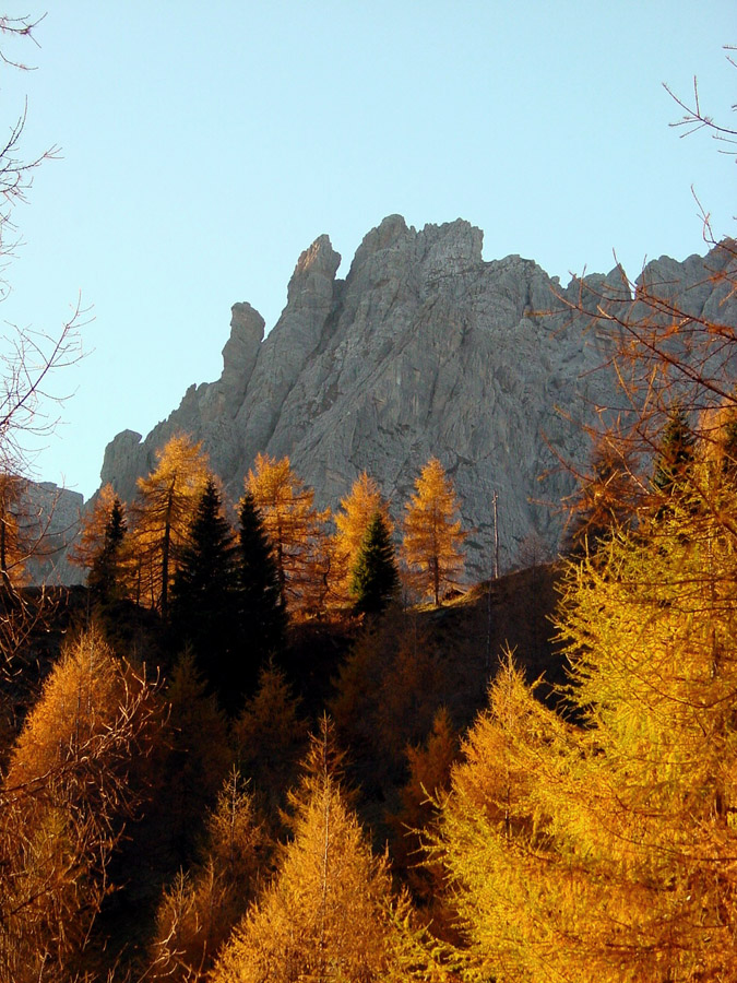 Da Cianpo de Cros verso Soracrepa con lo sfondo della cima SO del Ciarìdo