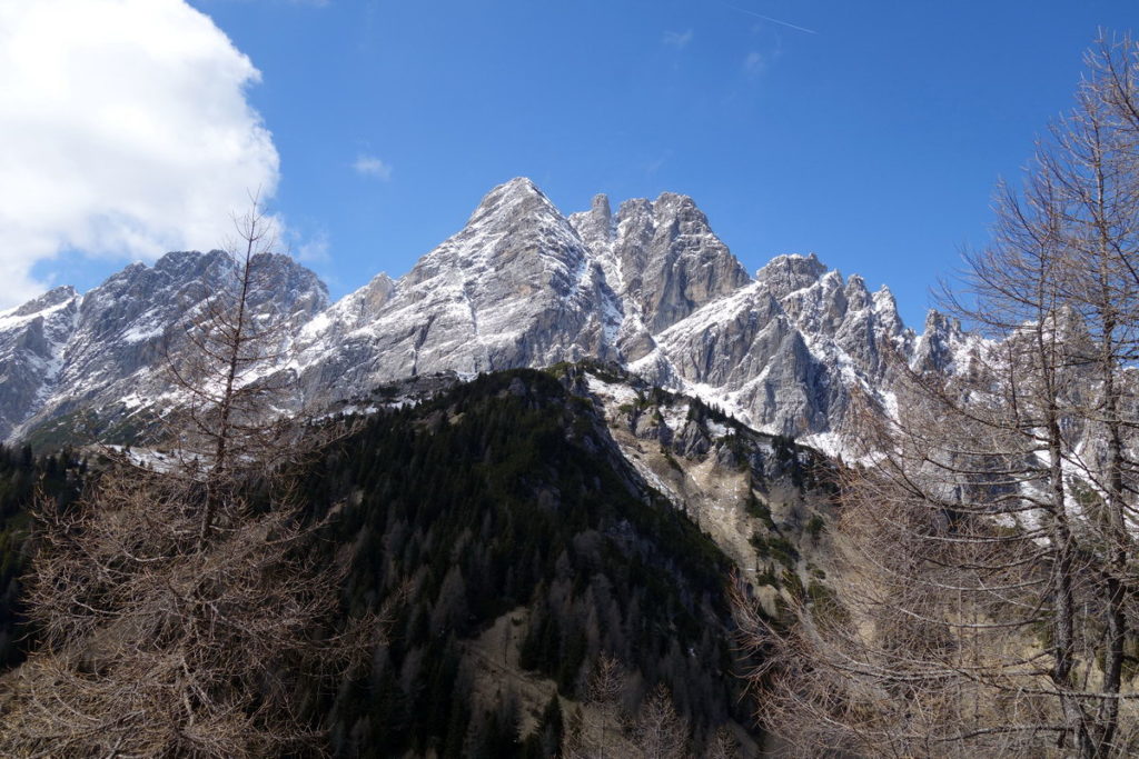 Le pendici del Col Sarenede con sullo sfondo Cresta dei Castellati, M. Brentoni e Torrioni di Val Inferno dai fianchi nord-ovest del M. Losco