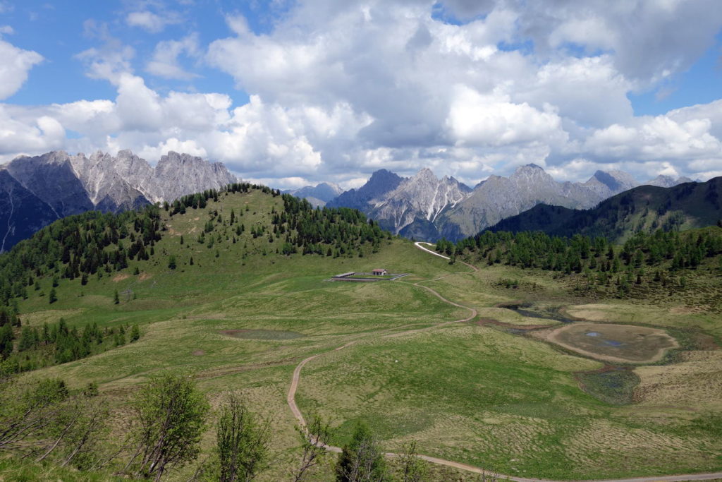 Malga Festons dal M. Festons; oltre la malga il M. Malins e sullo sfondo i monti dal Creton di Clap Piccolo al M. Canale