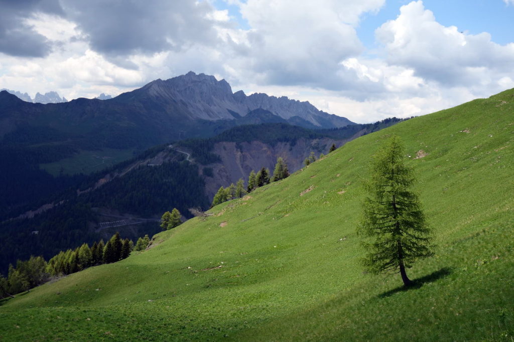 Dalle pendici meridionali del M. Festons verso M. Pezzocucco , Crodon di Tiarfin e Tudai di Razzo