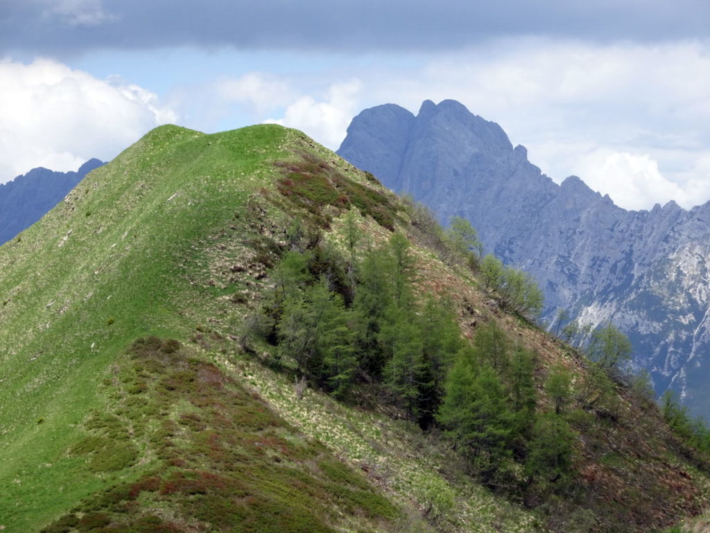 M. Oberkofel con lo sfondo del M. Brentoni dalla dorsale tra esso e il M. Festons