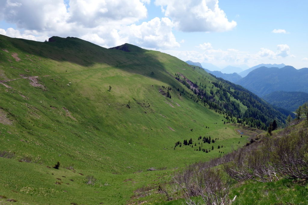 Il M. Oberkofel dai fianchi nord del M. Palon