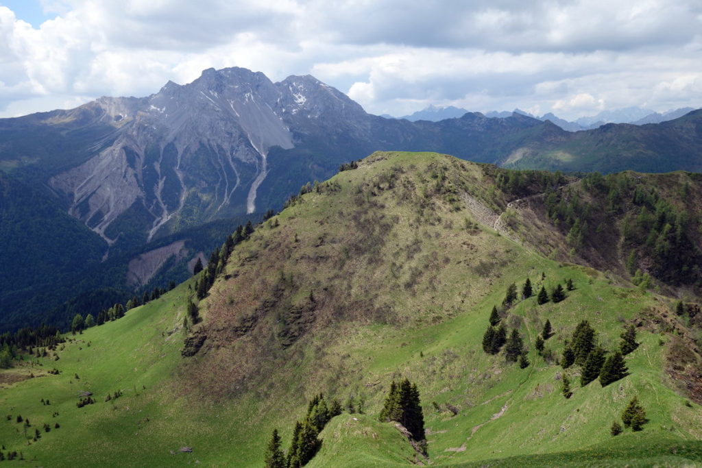 M. Palon (Palone) dal M. Oberkofel sullo sfondo del Bivera e Clapsavon