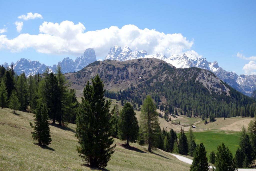 Col Rotondo dei Canope sullo sfondo del gruppo del Cristallo