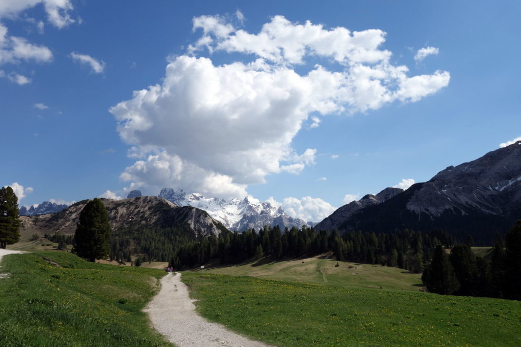 Pratopiazza: la strada che conduce al rif. Vallandro in vista della dorsale nord del Col Rotondo dei Canopi