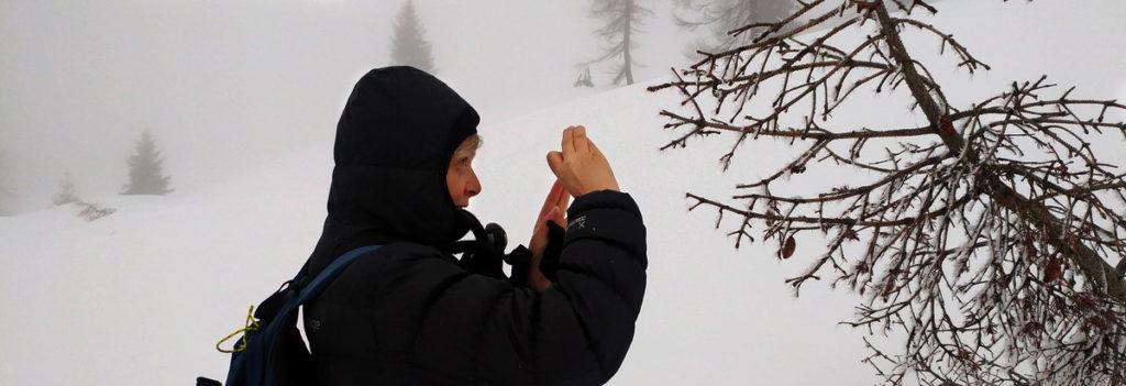 Fotografando pigne...