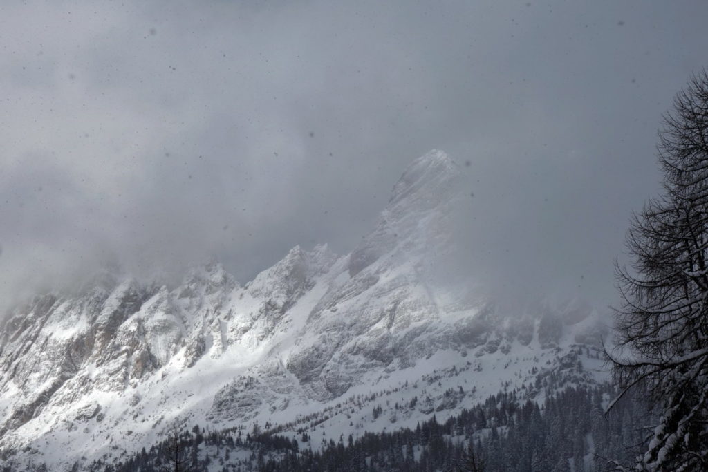 Da Col Marende verso il M. Brentoni mentre nevica